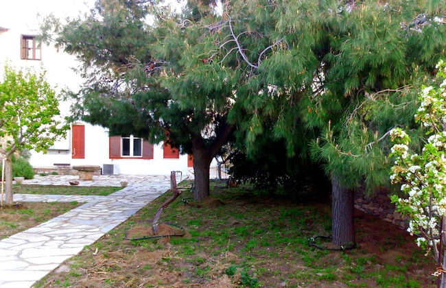 Windmill Complex - Foto 17