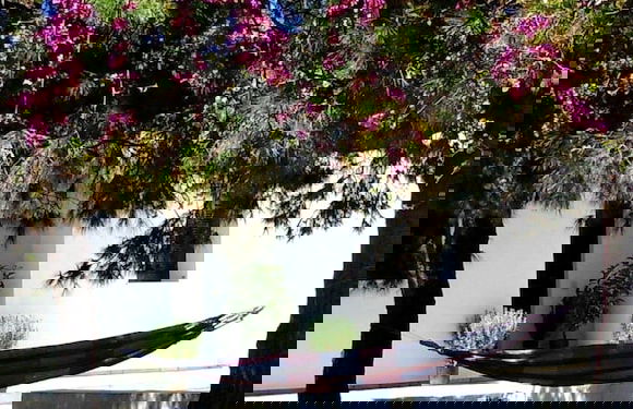 Windmill Complex - Foto 22