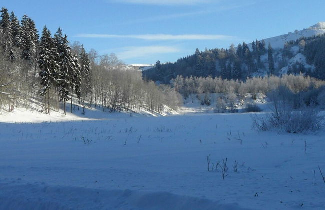 Former Coach House in the Harz - Foto 14