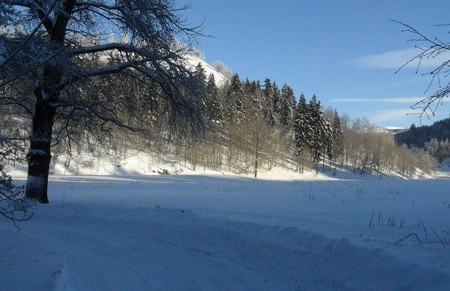 Former Coach House in the Harz - Foto 33