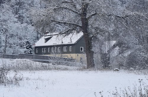 Foto 23 - Former Coach House in the Harz