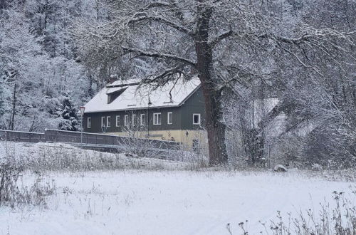 Foto 14 - Former Coach House in the Harz