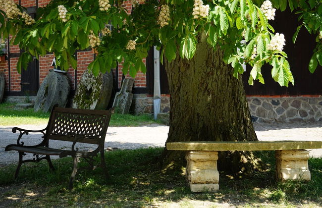 Beekenhof - Foto 15