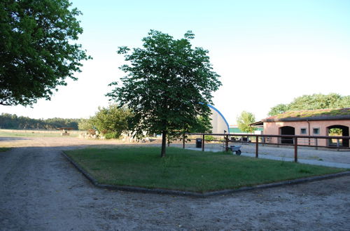 Photo 20 - Ferienwohnung auf Pferdehof bei Neustadt