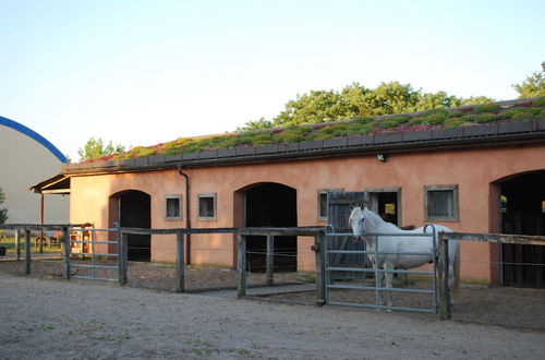 Photo 27 - Ferienwohnung auf Pferdehof bei Neustadt