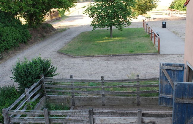 Ferienwohnung auf Pferdehof bei Neustadt - Foto 13
