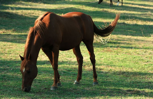 Villa Rignana - The Tuscan Collection - Foto 117