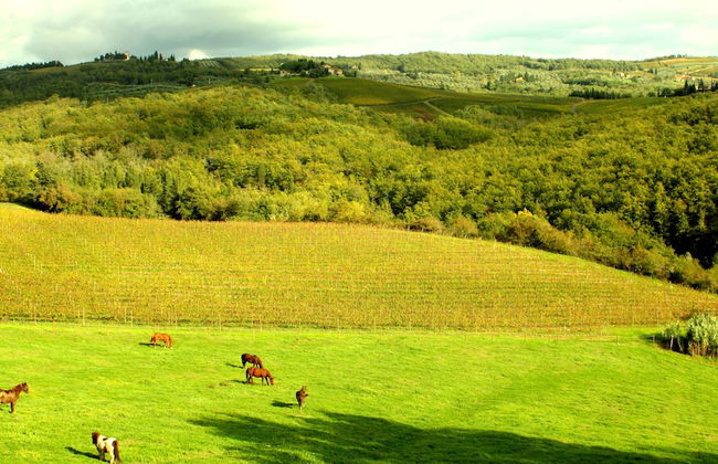 Villa Rignana - The Tuscan Collection - Foto 147