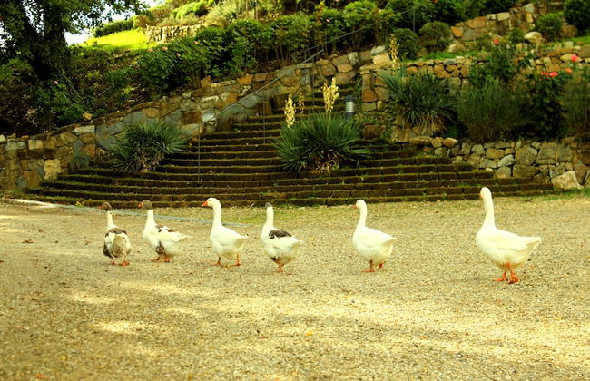 Villa Rignana - The Tuscan Collection - Foto 131