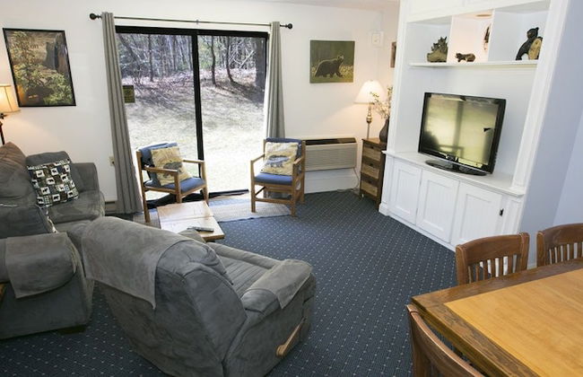 Black Bear Lodge - Foto 21