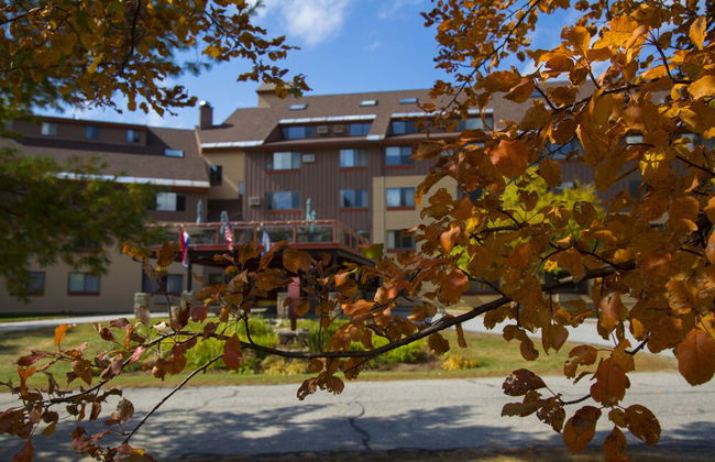 Black Bear Lodge - Foto 49