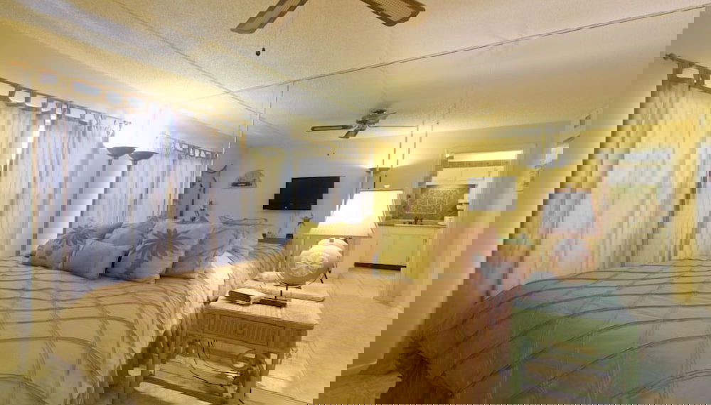 Image principale