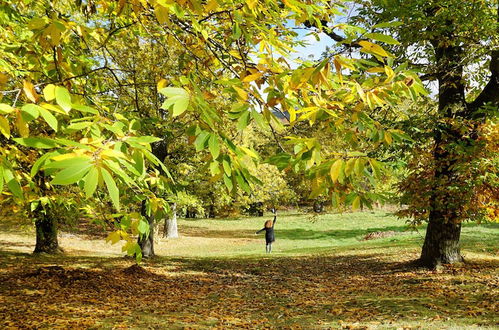 Foto 46 - Agriturismo Bio I Rondinelli