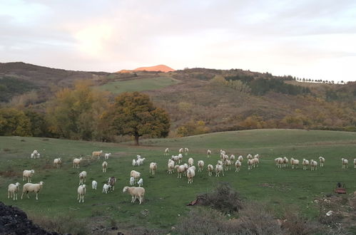 Foto 53 - Agriturismo Bio I Rondinelli