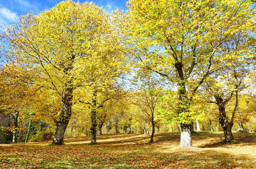 Foto 45 - Agriturismo Bio I Rondinelli