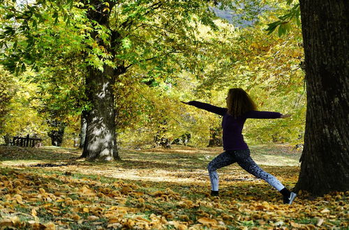 Photo 29 - Agriturismo Bio I Rondinelli