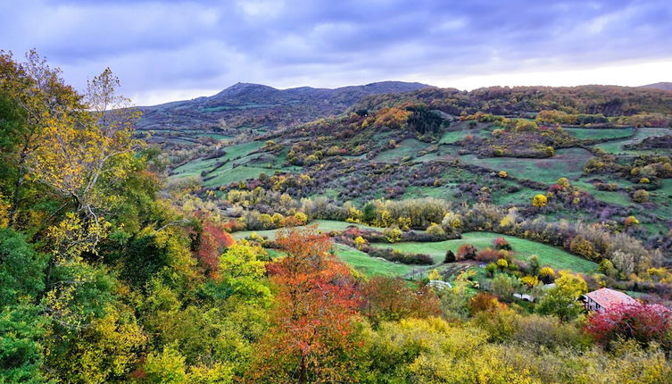 Foto 1 - Agriturismo Bio I Rondinelli