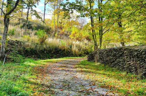 Foto 50 - Agriturismo Bio I Rondinelli