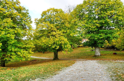 Foto 42 - Agriturismo Bio I Rondinelli