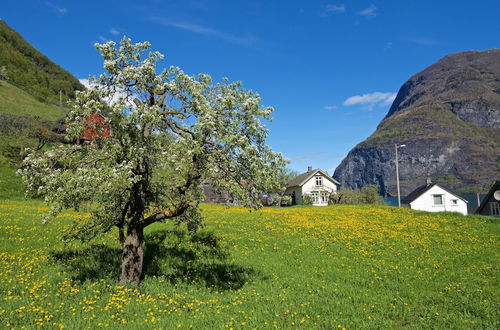 Photo 50 - Visit Undredal