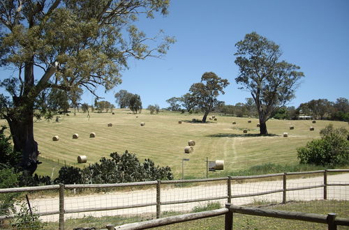 Photo 27 - 1860 Wine Country Cottages