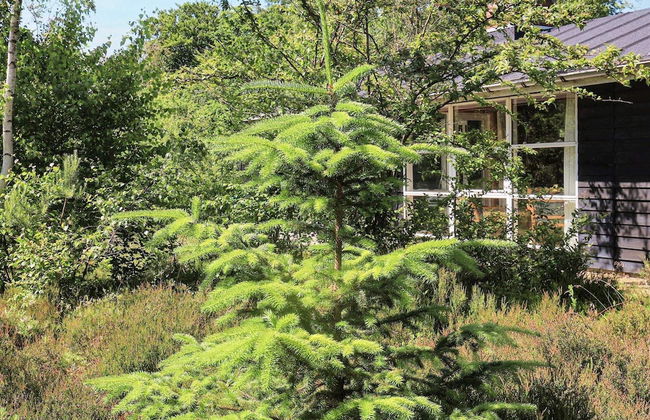 Rustic Holiday Home in Hals near Sea - Foto 15
