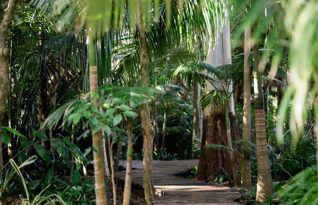Shambala Estate - Foto 24