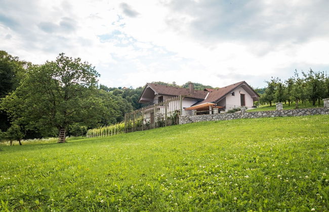 Vineyard cottage Radulja - Foto 11