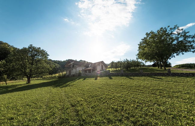 Vineyard cottage Radulja - Foto 16