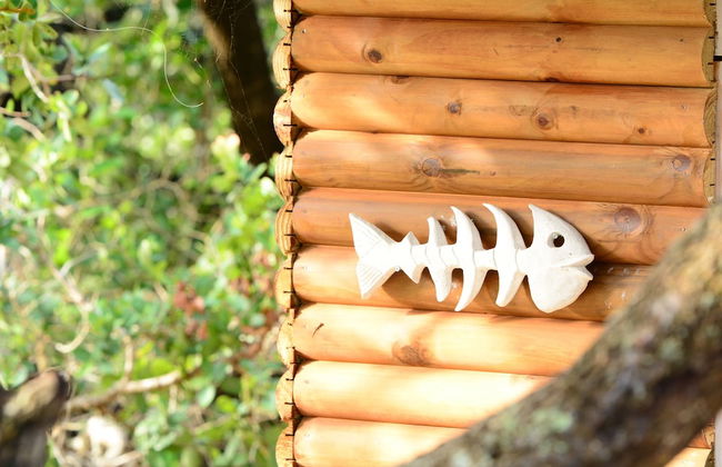 Visgraat Luxury Self Catering Unit - Foto 11