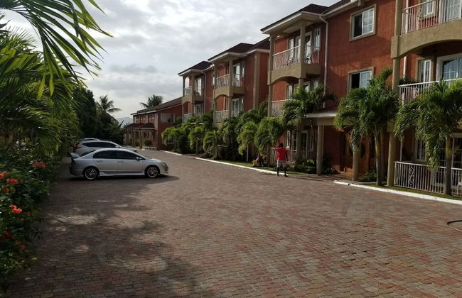 Palms of Liguanea - Photo 18