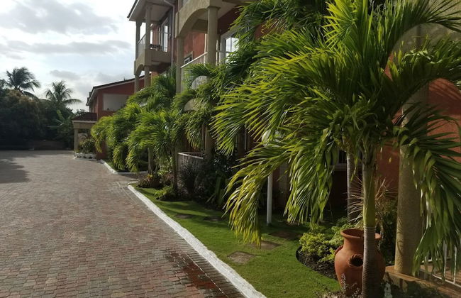Palms of Liguanea - Photo 27