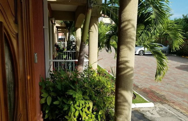 Palms of Liguanea - Photo 24