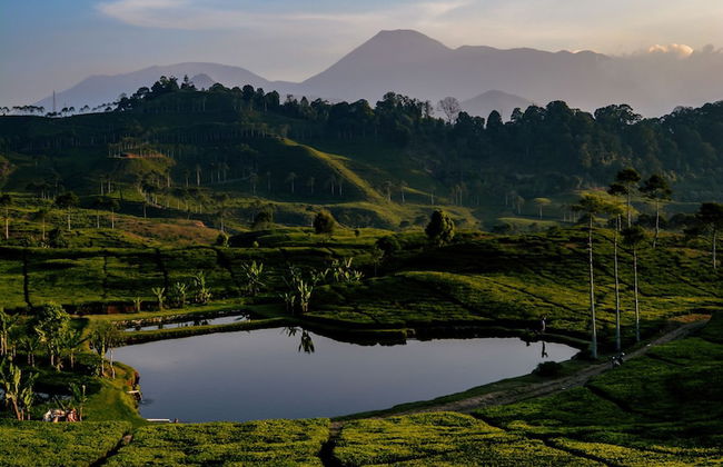 Homestay Sembiring Puncak - Foto 24