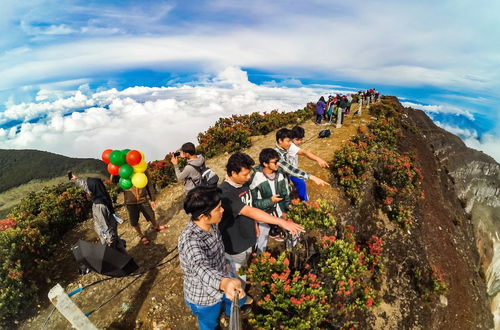 Photo 23 - Homestay Sembiring Puncak