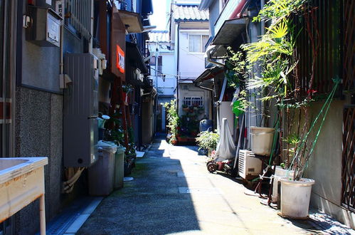 Photo 29 - Shirakabanoyado-keigetsu