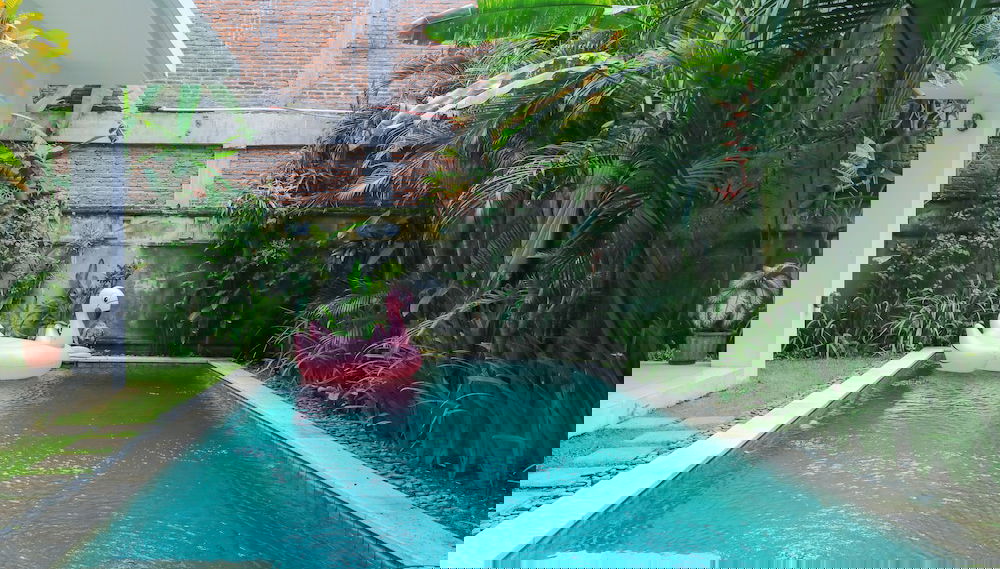 Imagem principal