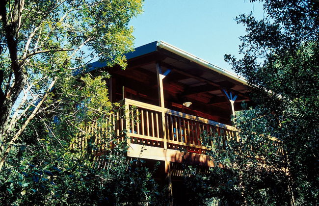 Moon Shine on Whiskey Creek - Foto 8