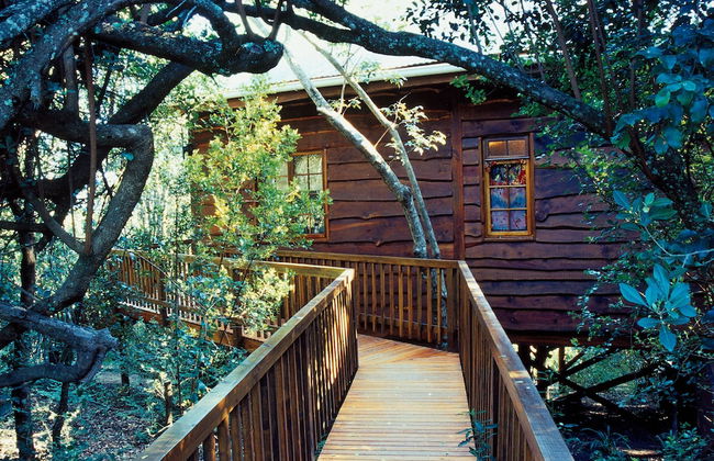 Moon Shine on Whiskey Creek - Foto 46