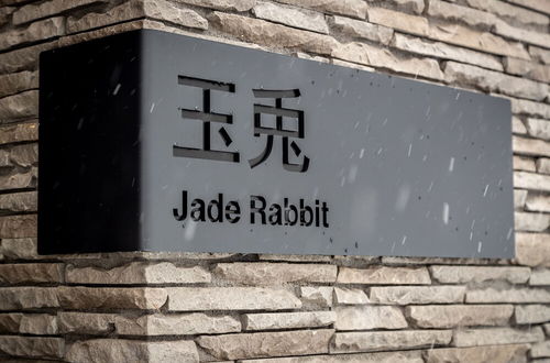 Photo 47 - Jade Rabbit