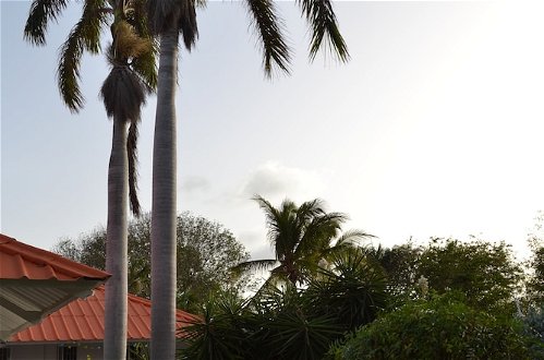 Foto 23 - Palm Trees Apartments