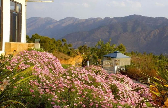 Tree of Life Junoon in The Hills - Foto 41