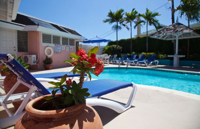 Windjammer, 4BR by Jamaican Treasures - Foto 25