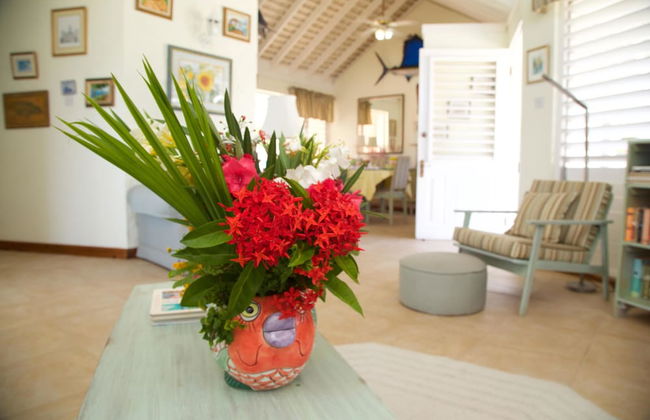 Windjammer, 4BR by Jamaican Treasures - Foto 16