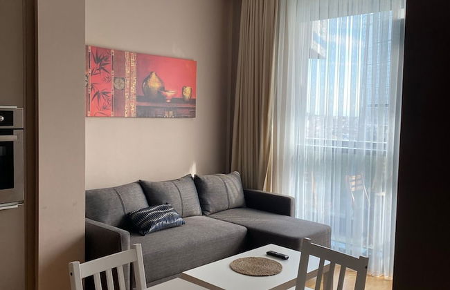 Deluxe 11 Unit For Rent In Centre Of Istanbul - Foto 14