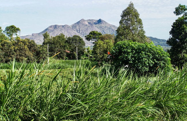 Pondok Manoka - Foto 23