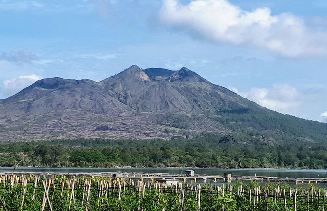Pondok Manoka - Foto 25