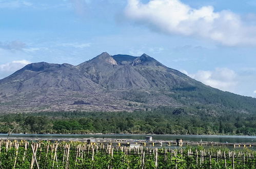 Photo 25 - Pondok Manoka