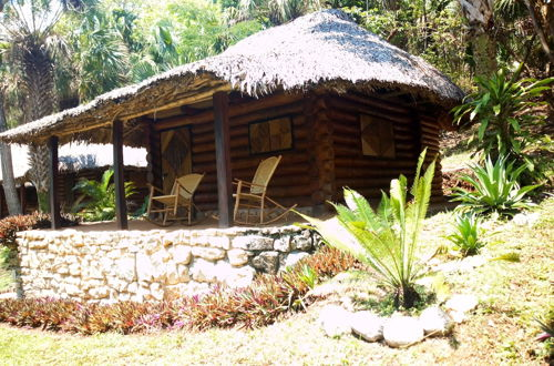 Foto 10 - Room in Lodge - Sierraverde Cabins 