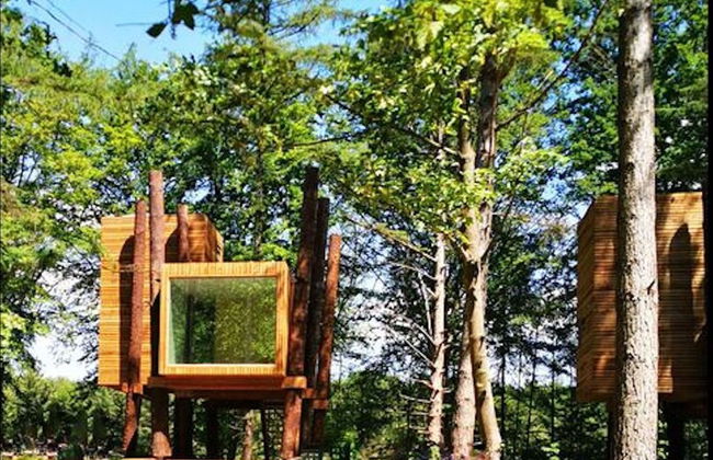 Treeloft Adventure in Nature for 4 People 5 - Foto 7